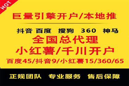 网络推广与竞价优化成功案例
